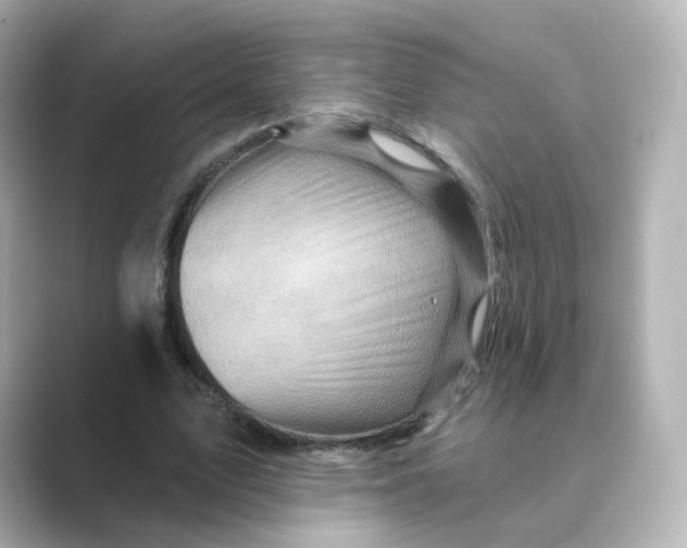 X0000088730583200706212040