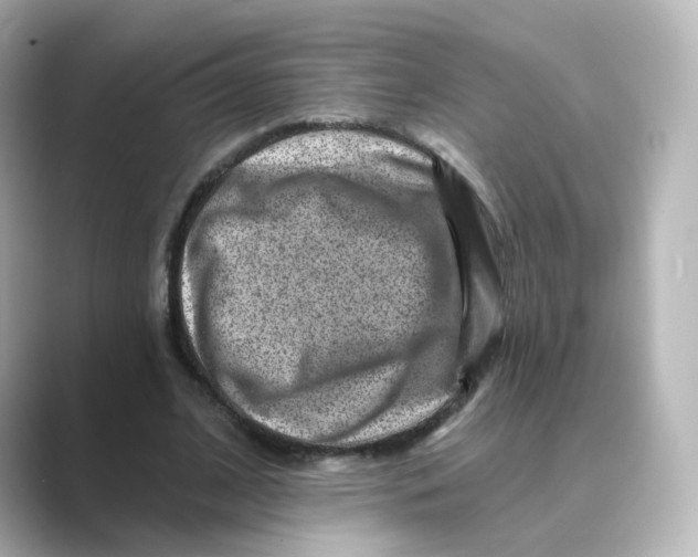 X0000088730584200706212040