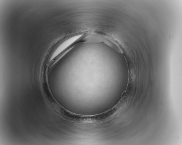 X0000088730587200706212040