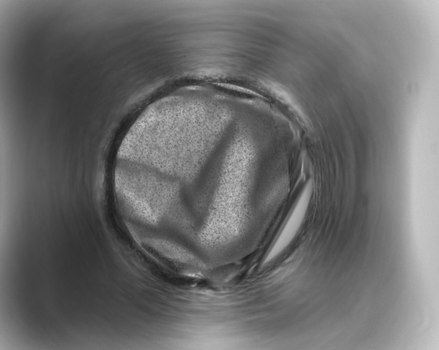 X0000088730588200706212040