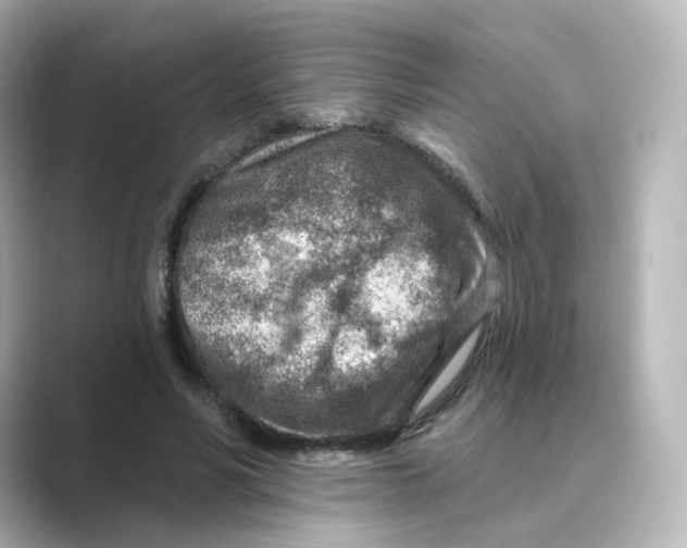 X0000088730590200706212040