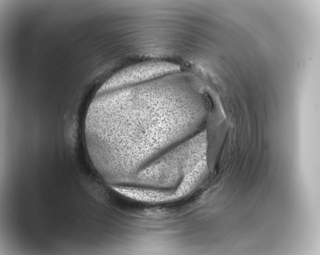 X0000088730591200706212040