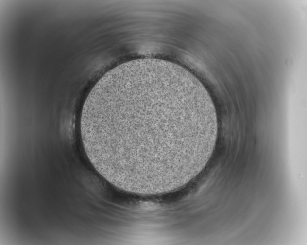 X0000088730592200706212040