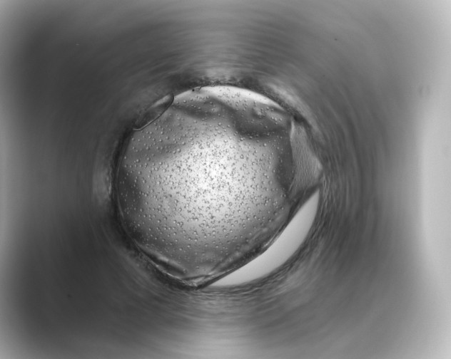 X0000088730593200706212040