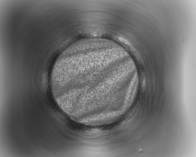 X0000088730594200706212040