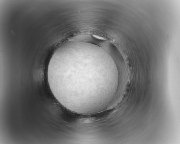 X0000088730595200706212040