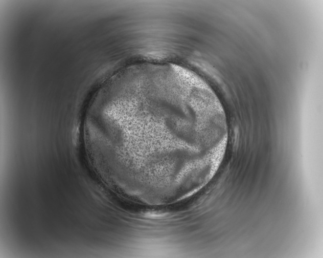 X0000088730596200706212040