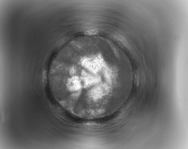 X0000088730598200706212040