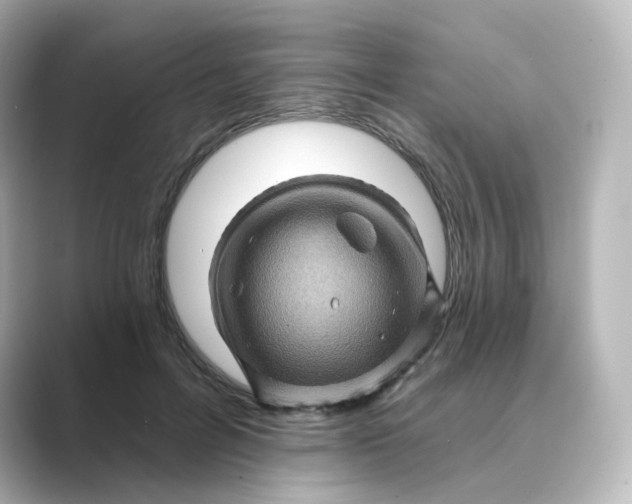 X0000088730600200706212040