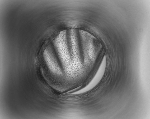 X0000088730601200706212040