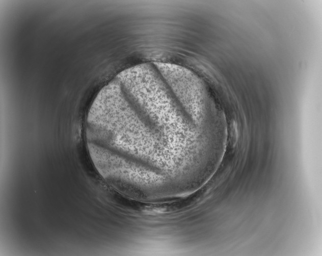 X0000088730602200706212040