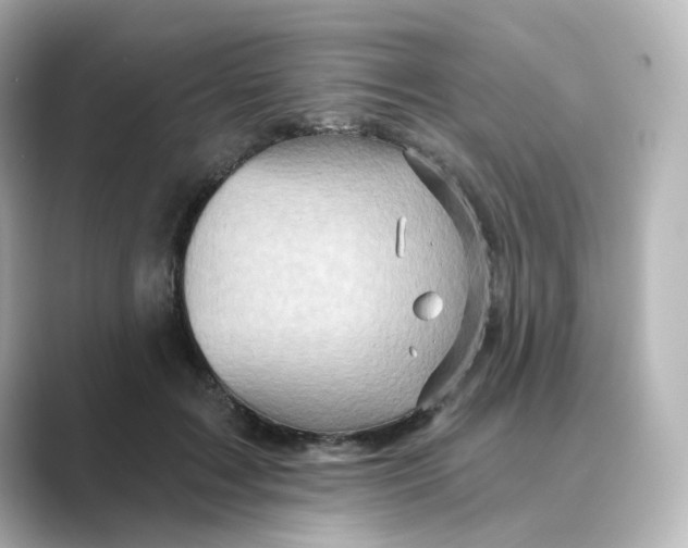 X0000088730603200706212040