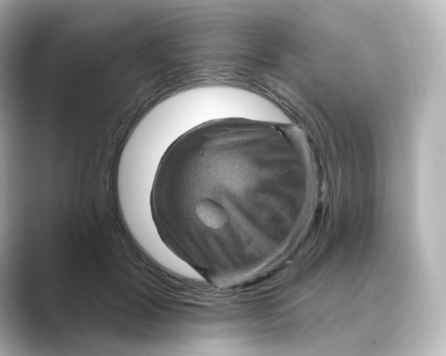 X0000088730604200706212040