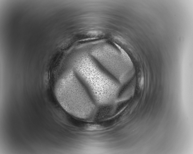 X0000088730605200706212040