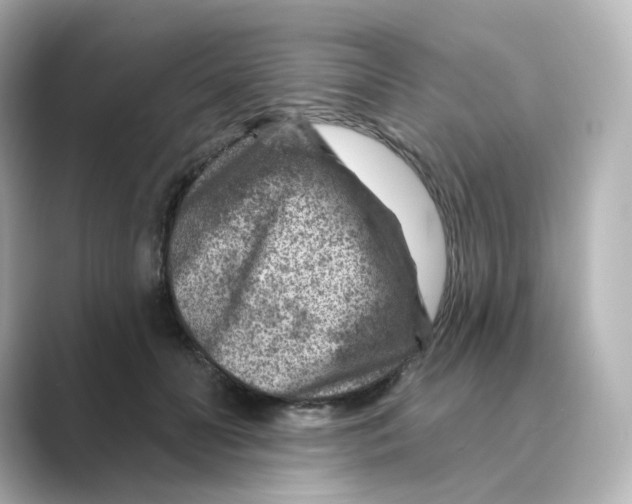 X0000088730606200706212040