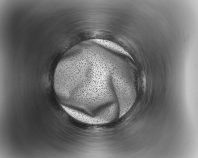 X0000088730607200706212040