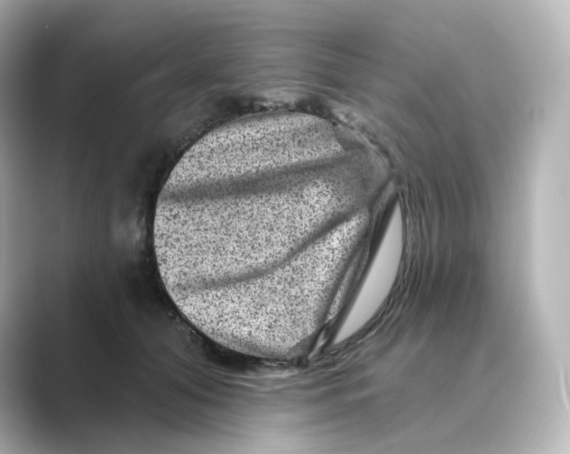 X0000088730608200706212040