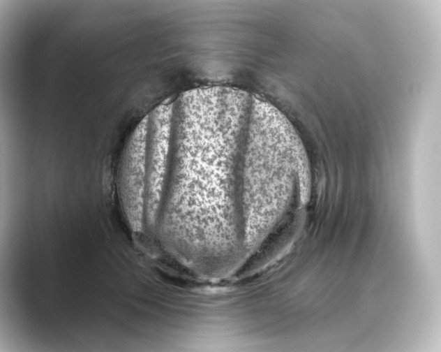 X0000088730609200706212040