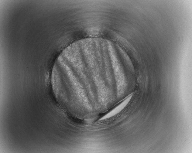 X0000088730610200706212040