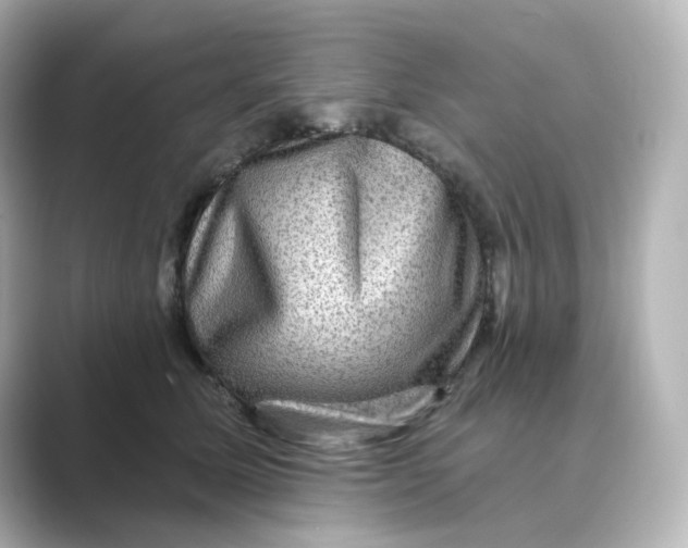 X0000088730611200706212040