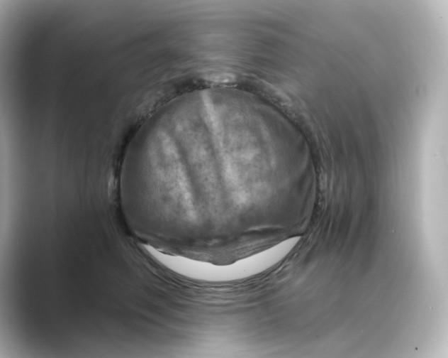 X0000088730614200706212040