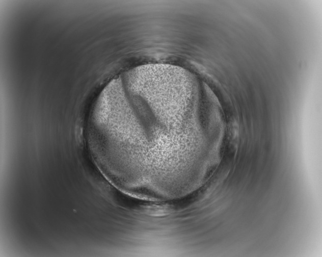 X0000088730615200706212040