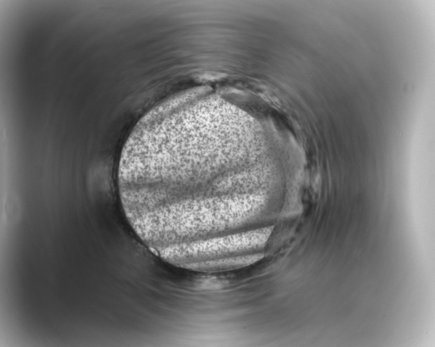 X0000088730616200706212040