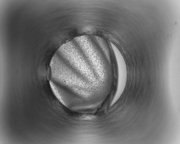 X0000088730617200706212040