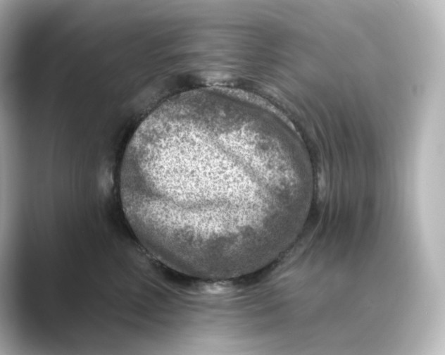 X0000088730618200706212040