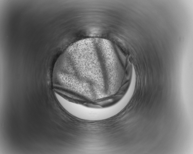 X0000088730620200706212040