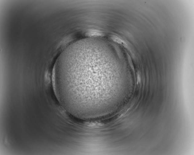 X0000088730621200706212040