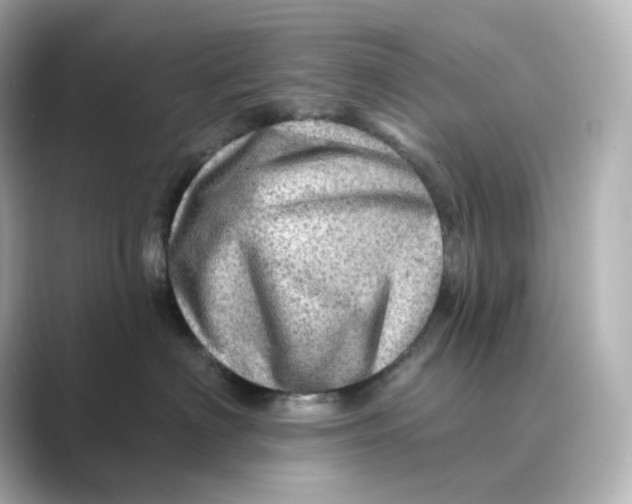 X0000088730622200706212040