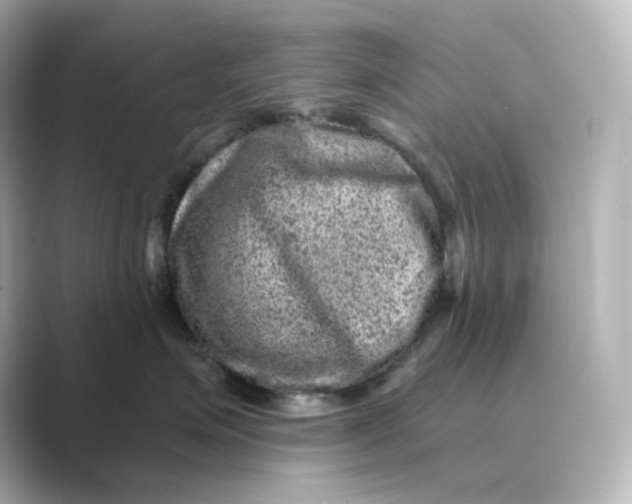 X0000088730623200706212040