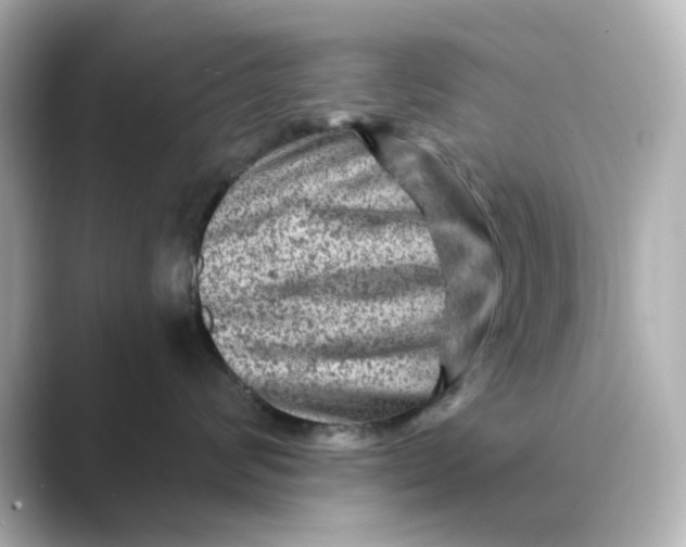 X0000088730624200706212040