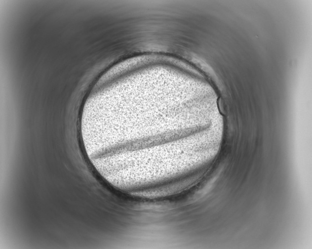 X0000088730625200706212039