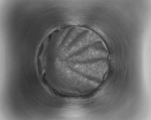 X0000088730626200706212039