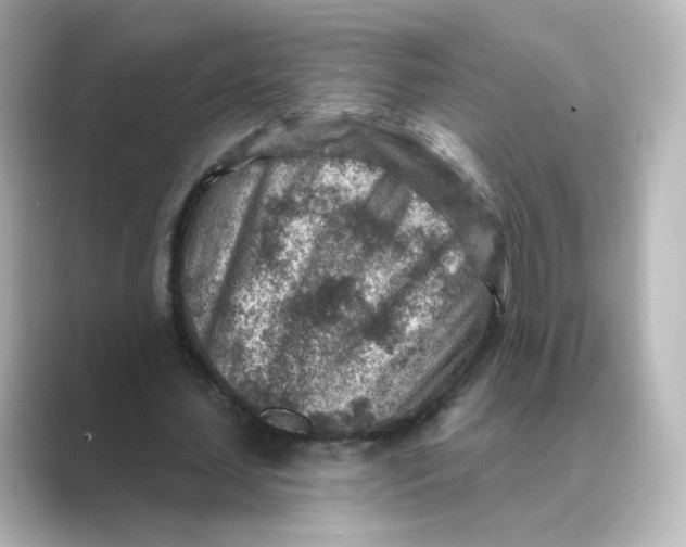 X0000088730627200706212039