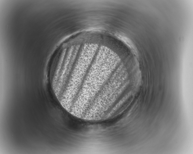 X0000088730628200706212039