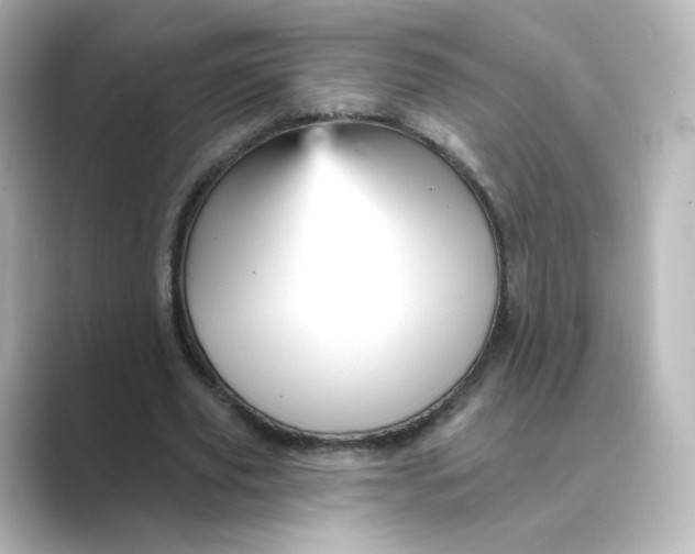 X0000088730629200706212039