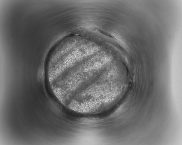 X0000088730630200706212039