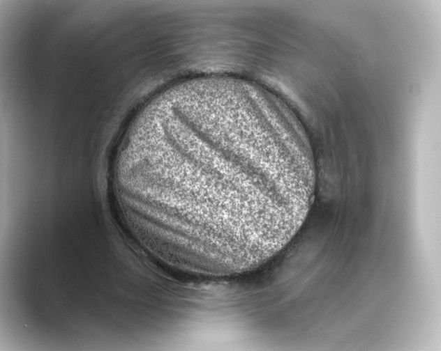 X0000088730631200706212039