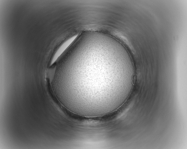 X0000088730633200706212039