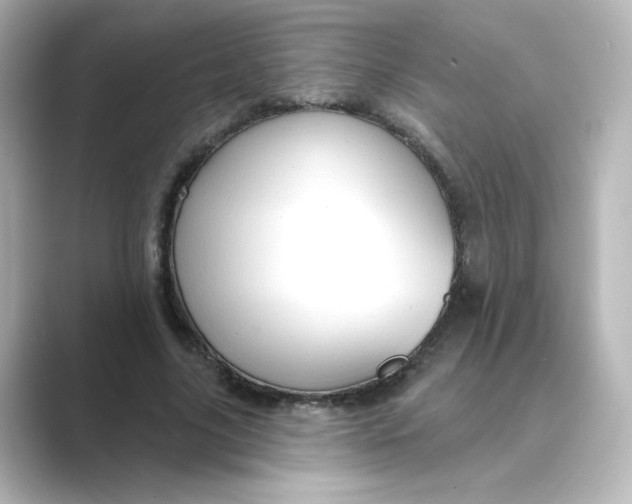 X0000088730635200706212039