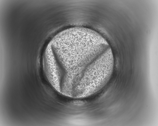 X0000088730636200706212039