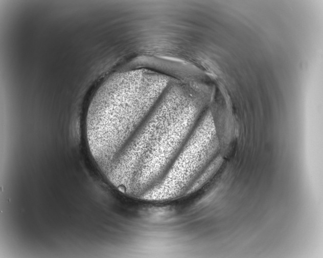 X0000088730638200706212039