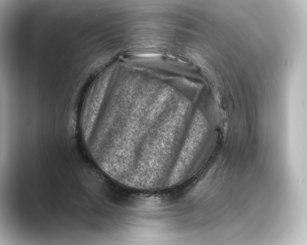 X0000088730640200706212039