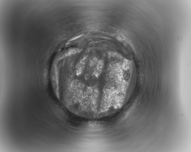 X0000088730641200706212039