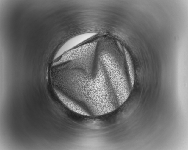 X0000088730642200706212039