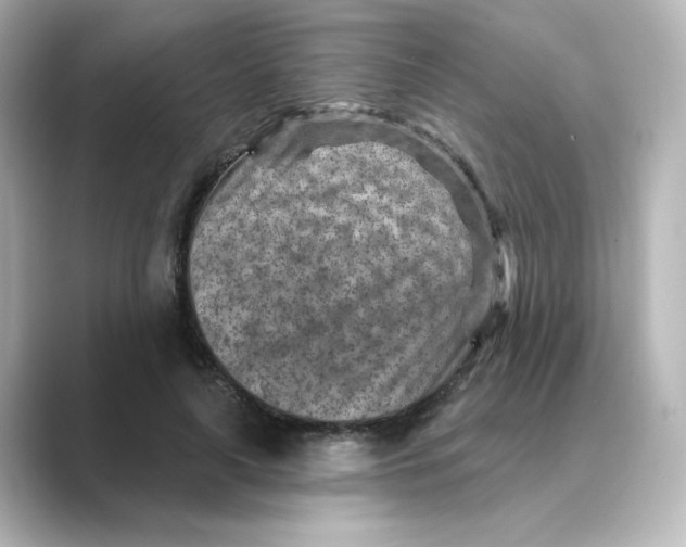 X0000088730643200706212039