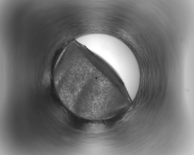 X0000088730644200706212040